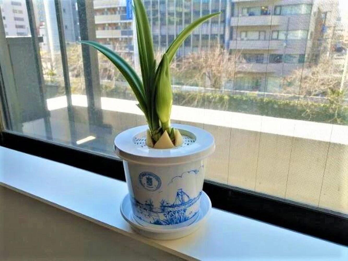 ブログ