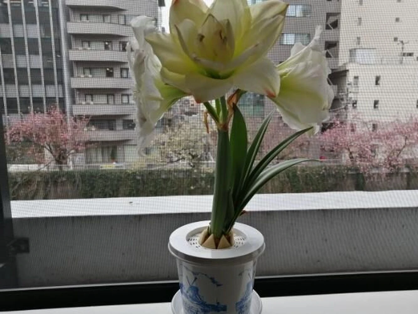 ブログ